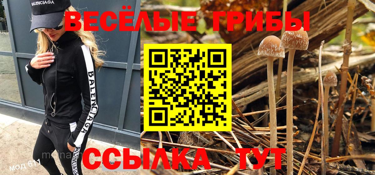 Киреевск  Псилоцибиновые грибы GOLDEN TEACHER  Вход с VPN 